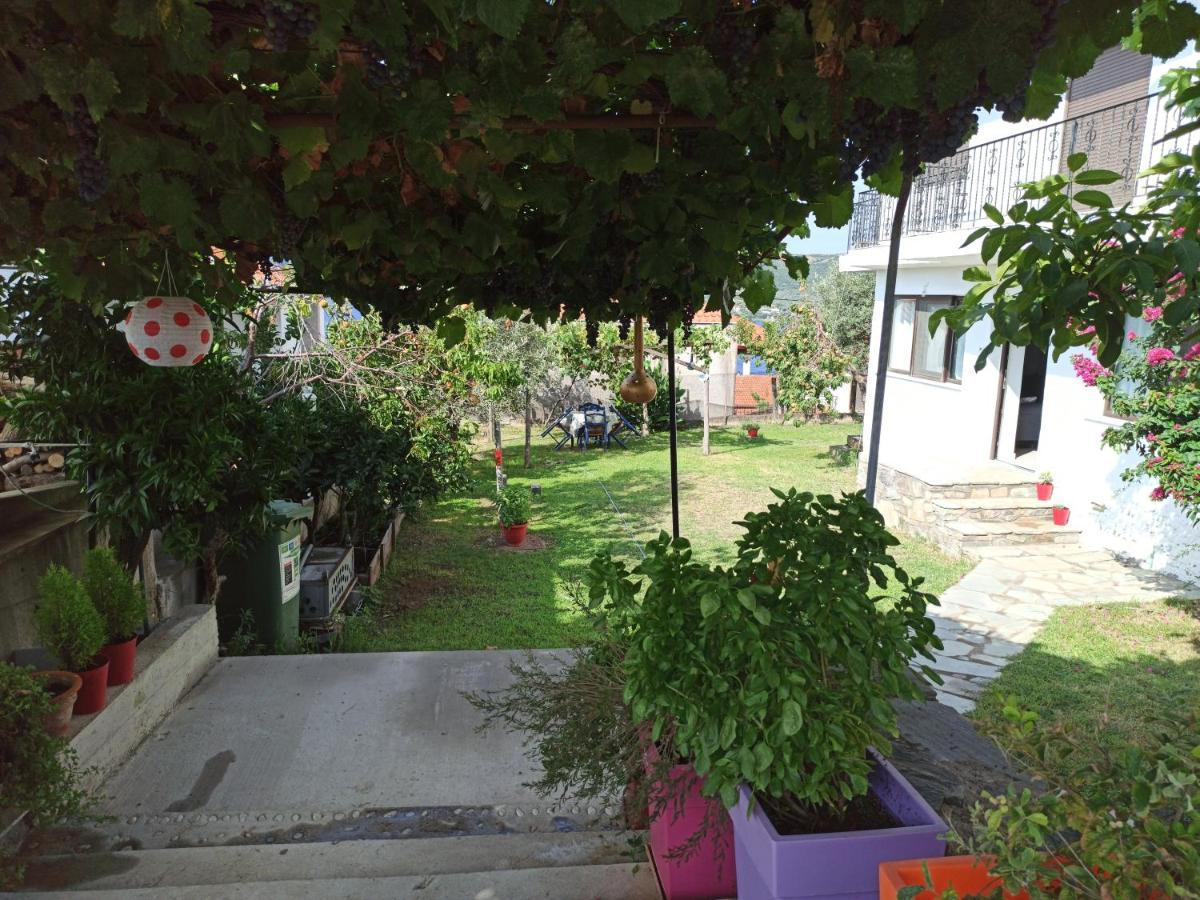 Dora'S House Comfortable Apartment With A Yard And View 피르가디키아 외부 사진